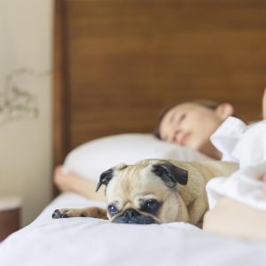 dog and woman on soft ecofriendly mattress